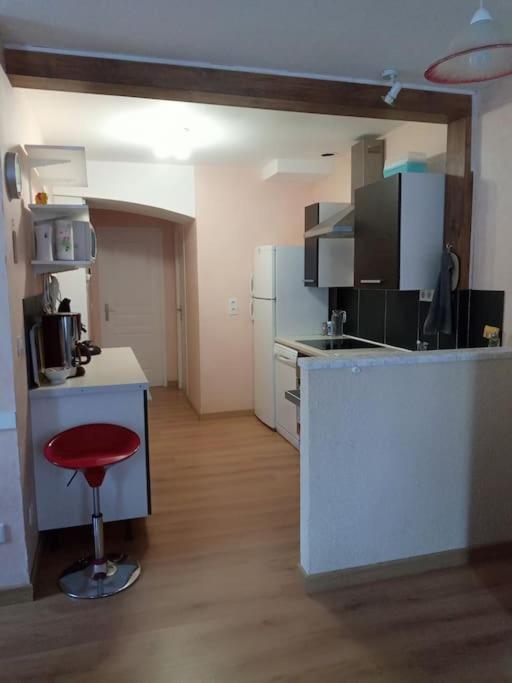 Residence Gascogne, Appartement Rose Boreal أو-بون المظهر الخارجي الصورة